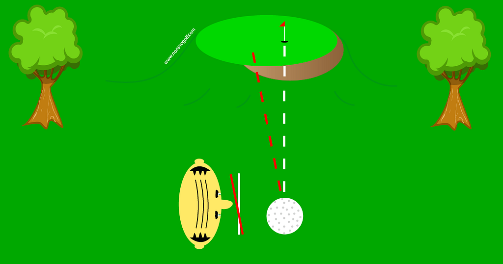 Man on golf course showing alignment