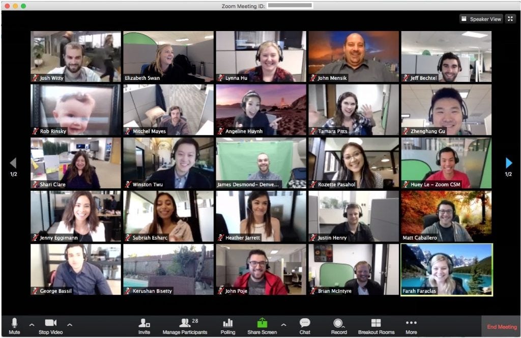 A Zoom video chat window showing 25 participants on a single screen, with a second page of participants indicated.