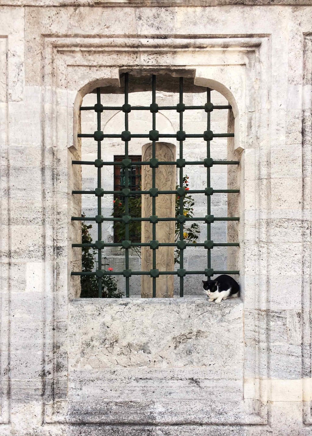 fotoğraf Ömer Selçuk Baz / Fatih Camii