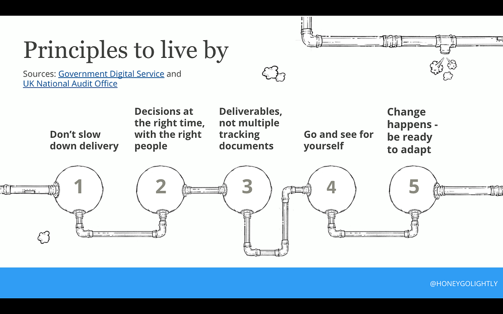 A summary of principles published by GDS (2014) and the UK National Audit Office (201