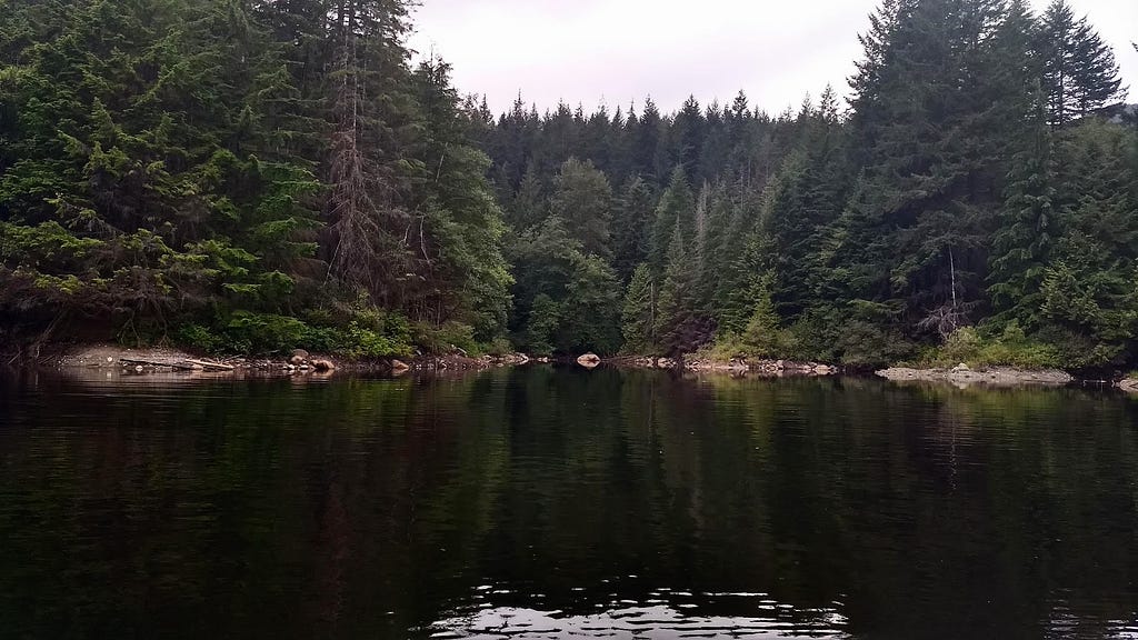 Foto de um lago com pinheiros ao fundo e encosta com tocas de castor, a água é escura e o céu está nublado