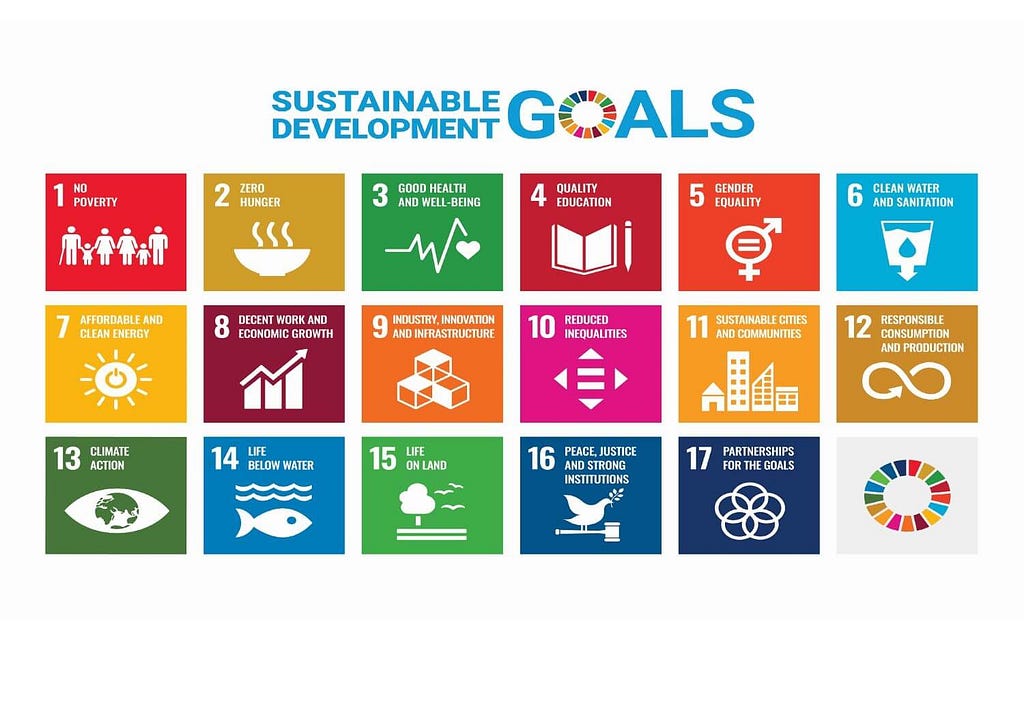 Volunteering And Sustainable Development Goals (SDGs) In Africa