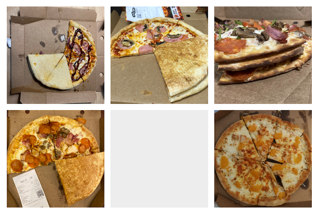 Examples of defected pizzas