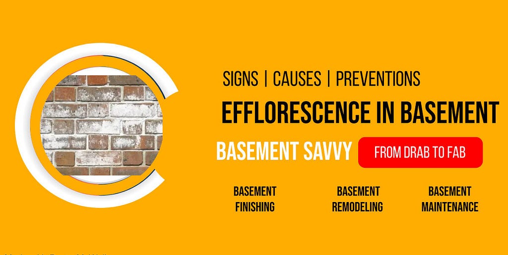 Efflorescence in Basement: Causes, Signs, Effects, and Prevention | Basement Savvy