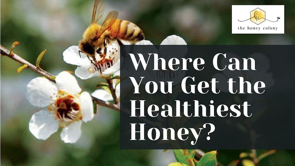 Where Can You Get the Healthiest Honey?