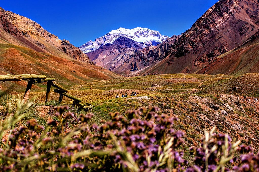 Mendoza is a great wine capital city in Argentina’s Cuyo region.