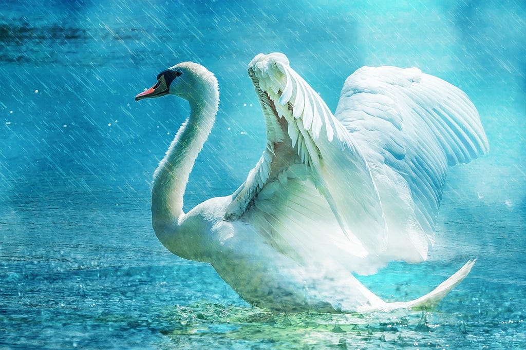Soham Hamsa meditation or the white swan