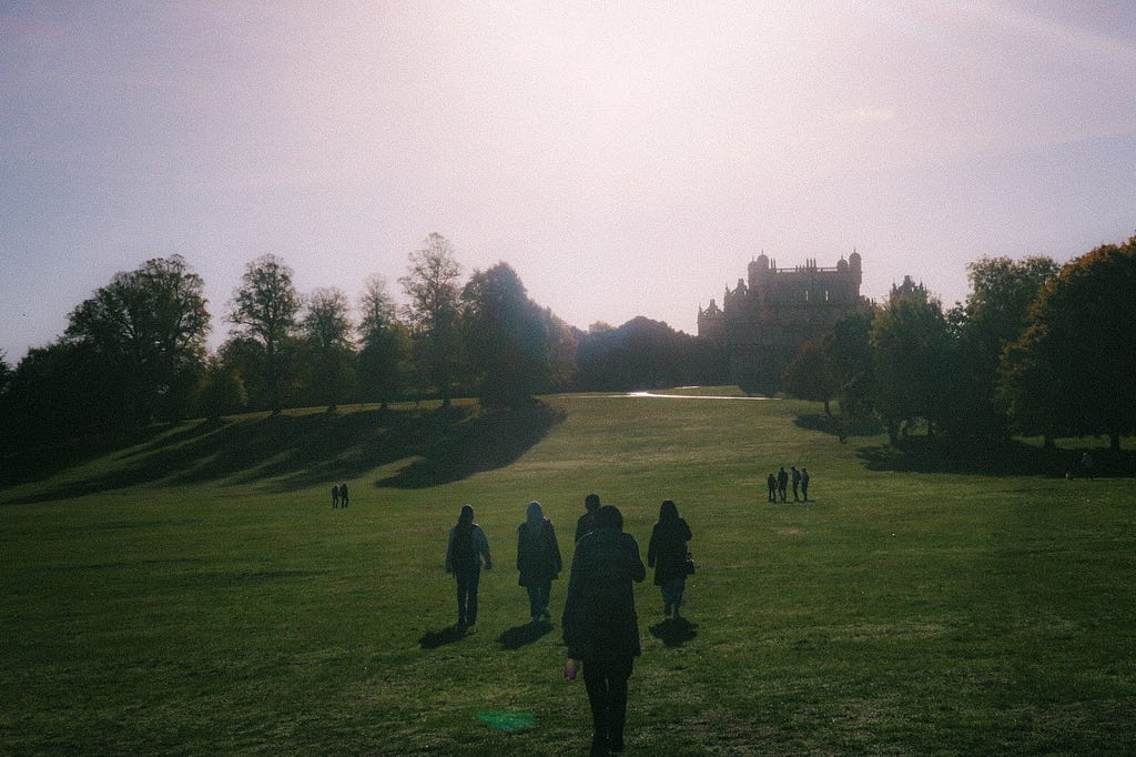 The picture of my friends and I turning our back on the camera, facing the field of green grass and gleaming sunlight.