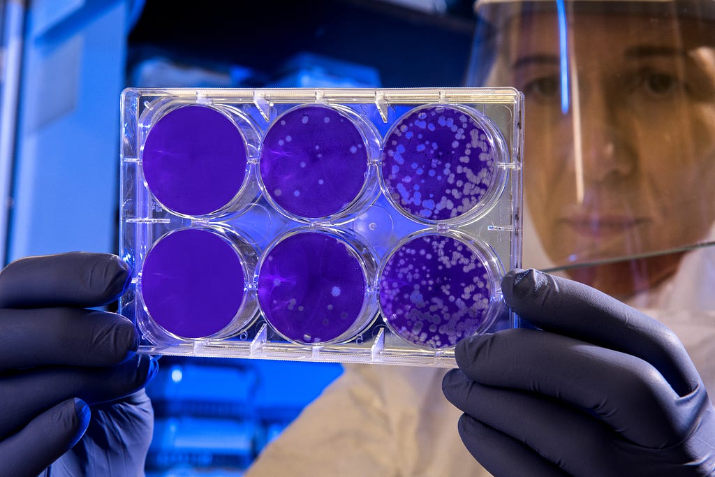 Image of scientist with petri dishes from Centre for Disease Control