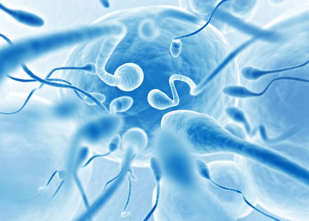 Rendering of sperm swimming towards an egg.