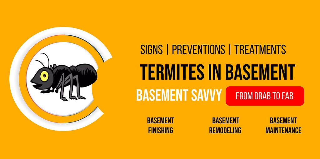 Termites in Basement: Signs, Types, Prevention, and Treatment