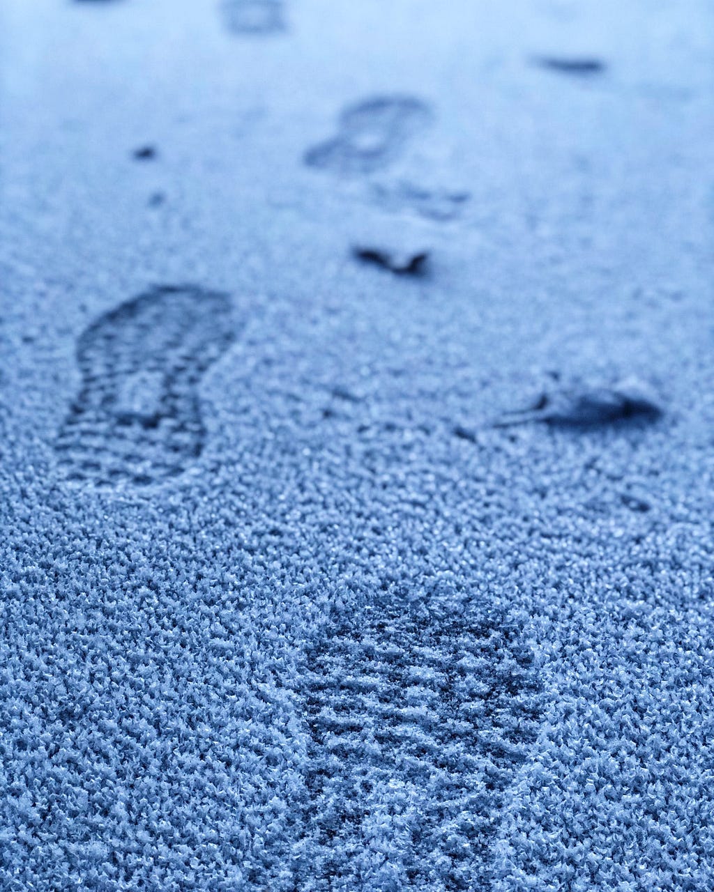 Shoe prints in fresh snow