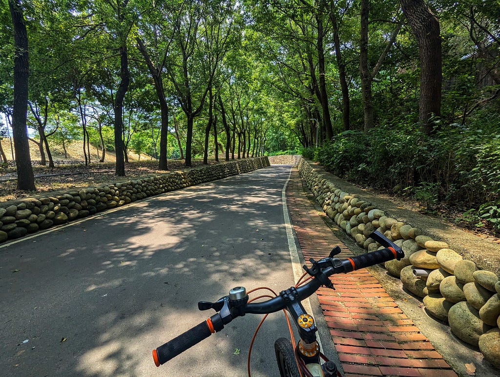 The cycle path on the Houli side. It is well-shaded with lots of trees.