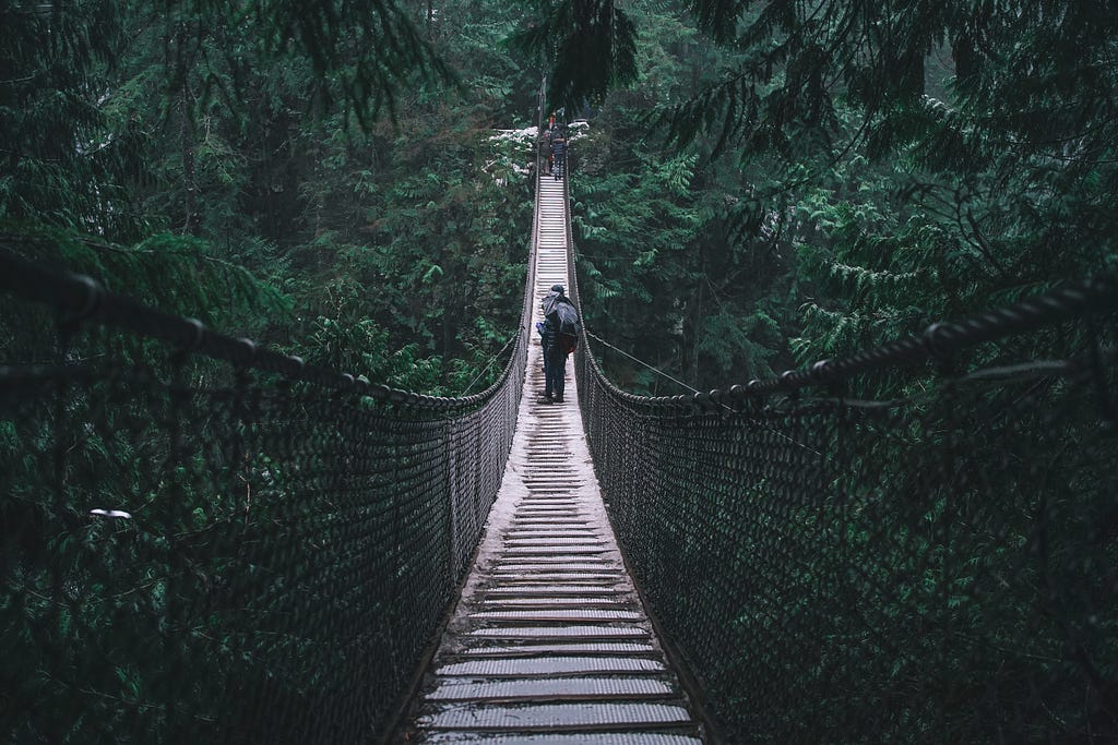 A swinging bridge stretches over an expansive rainforest.