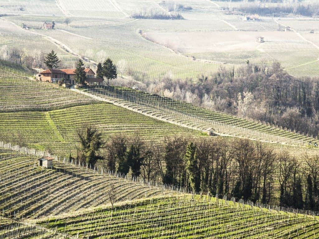 barbera italien