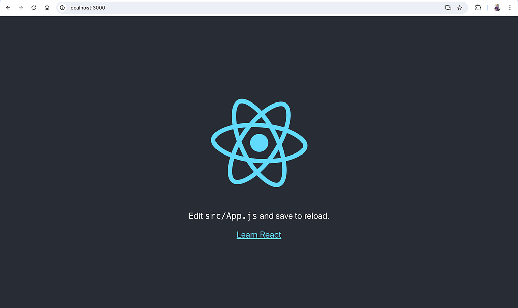 Launch the boilerplate React app