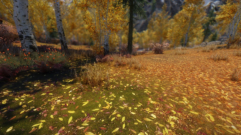 Skyrim 4K Mode forest