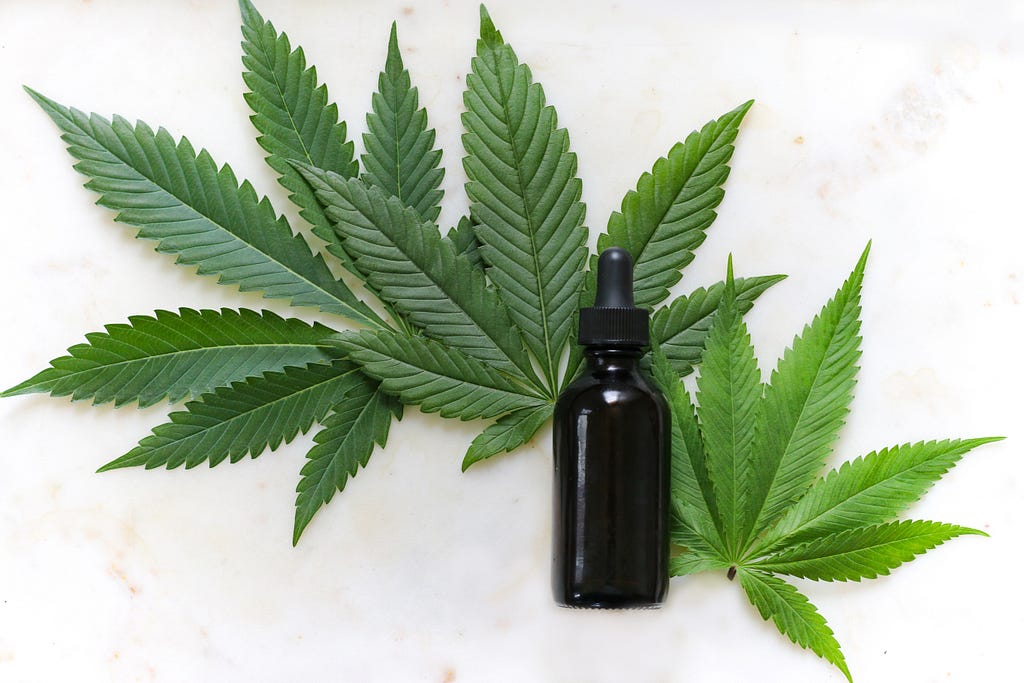 Cannabis (hemp) leaves and tincture bottle