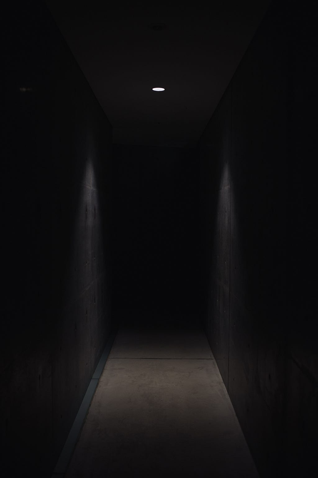 A dark hallway, lit by a solitary ceiling lamp.