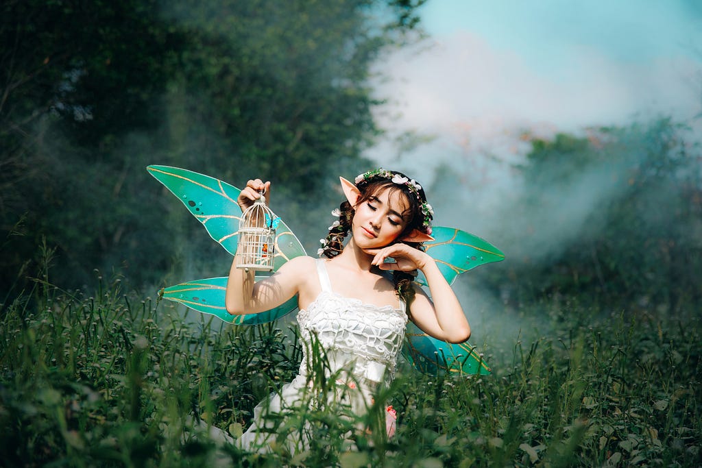 fantasy fairy in a field