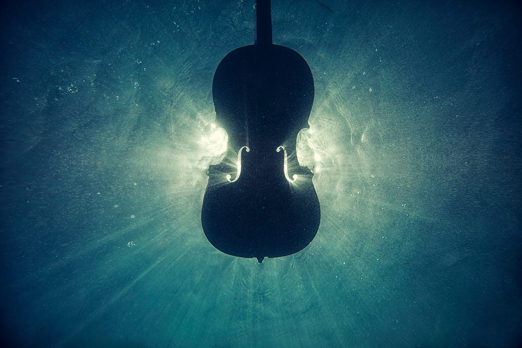 black violin underwater