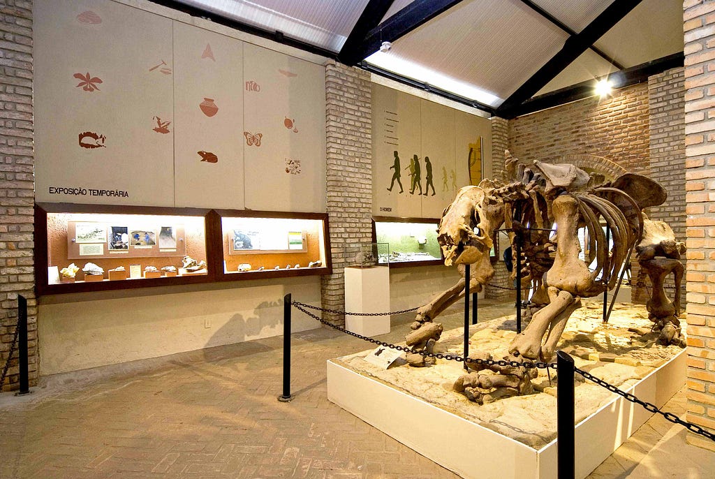 uma exposição de museu onde tem uma estátua grande de um esqueleto de dinossauro e quadros com conteúdos científicos na parede