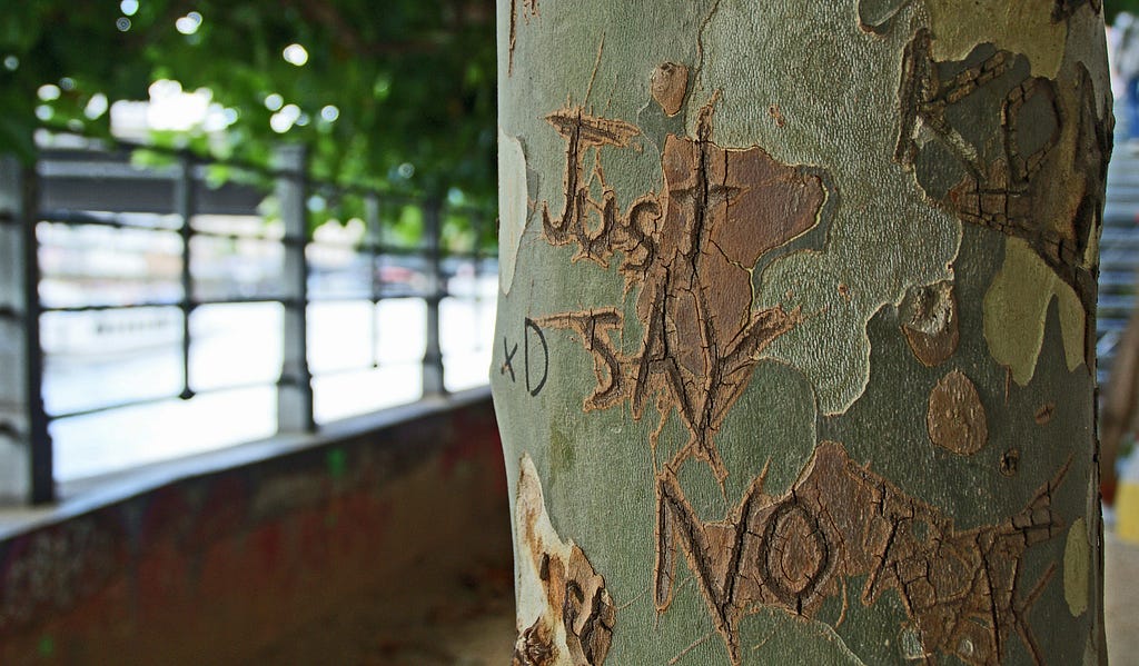 Juts say no written on tree bark