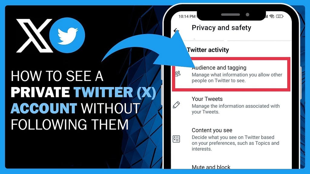 How to Look at Someone Private Twitter Account: Uncover Secrets