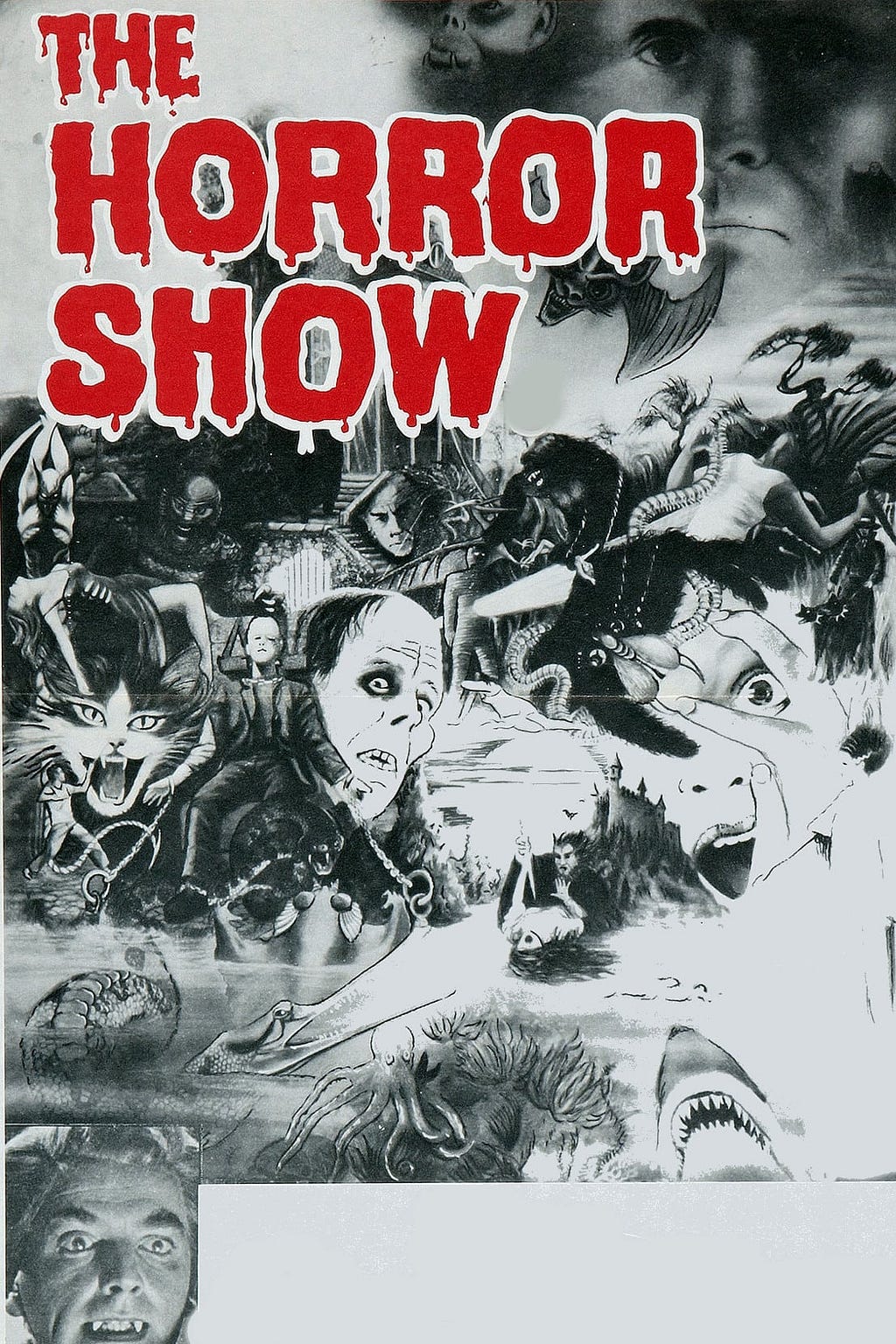 The Horror Show (1979) | Poster