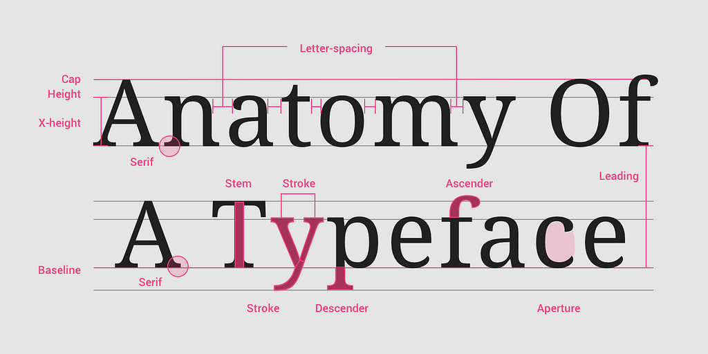 Anatomy of type