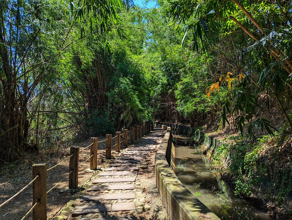 The walking trail with pockets of sunshine and shade. A stream of water is on the right.