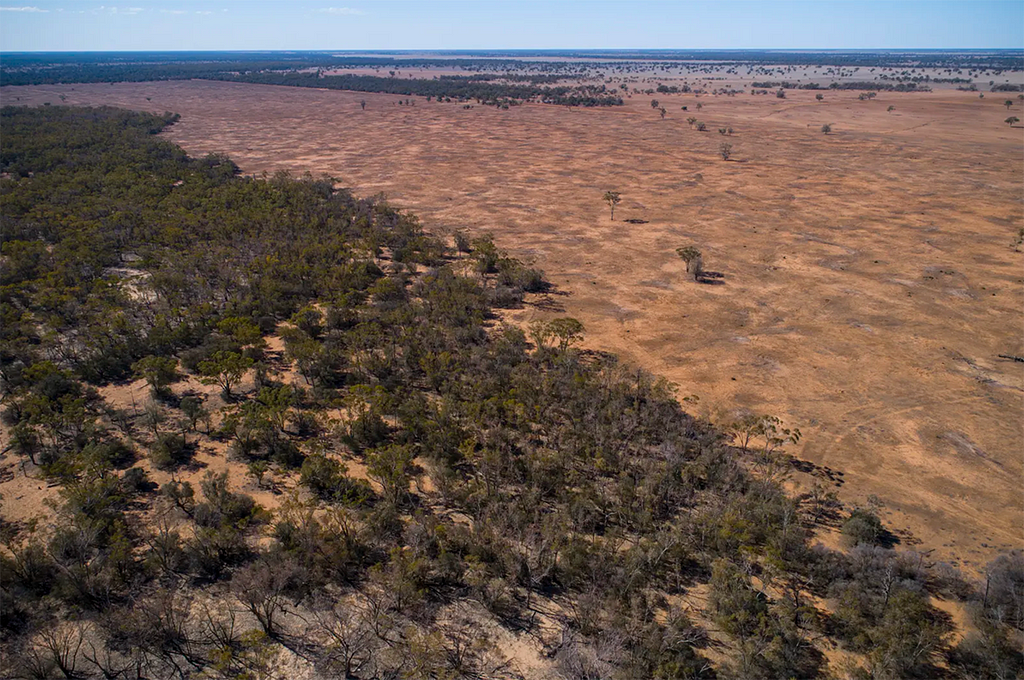 A landscape divided diagonally in two, with half covered in shrubs and the other half bare desert.