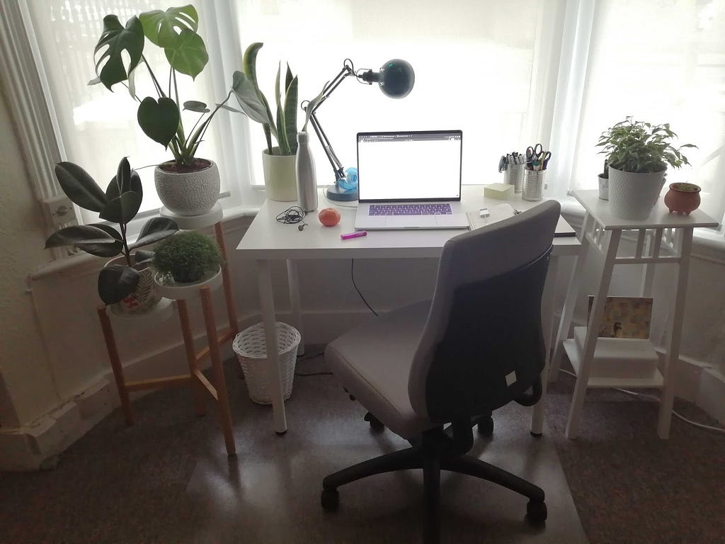 A picture of Ángela’s desk and adjustable chair in a bay window, with laptop, task lighting and lots of green plants around.