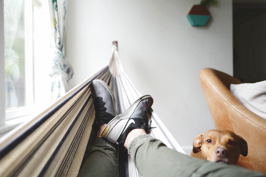 Point of view picture of a man in a hammock. A dog is sitting beside him looking up at him.