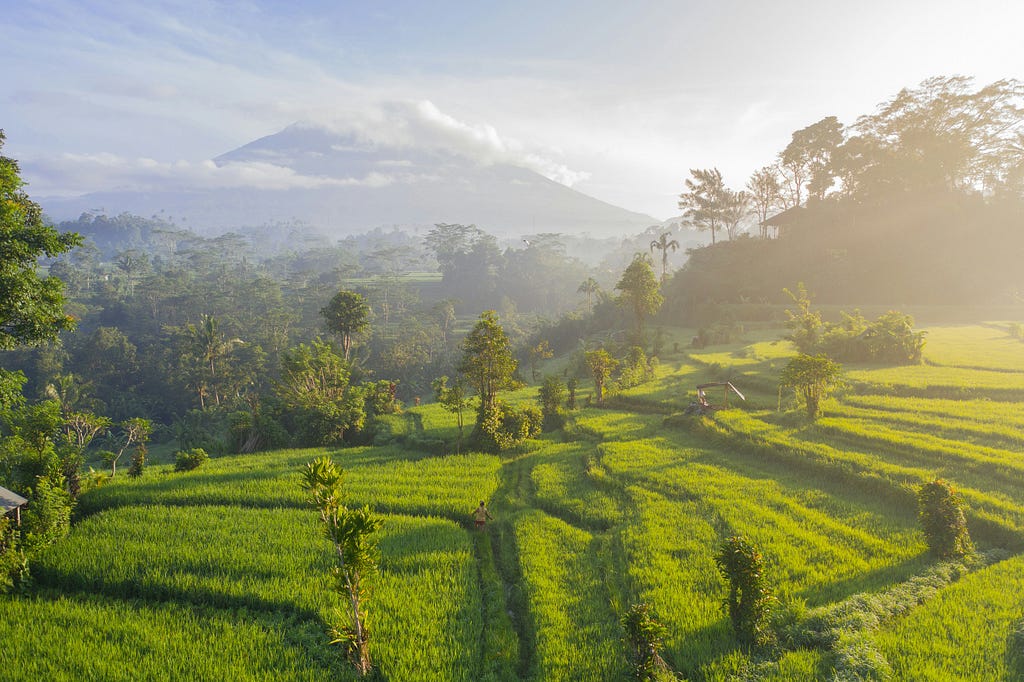 Bali is home to a unique blend of traditional and modern culture. Visitors can explore ancient temples, participate in local ceremonies, and enjoy contemporary art and cuisine.