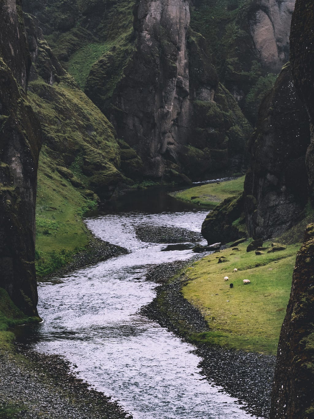 A cutted river and its greenery banks picture somewhere