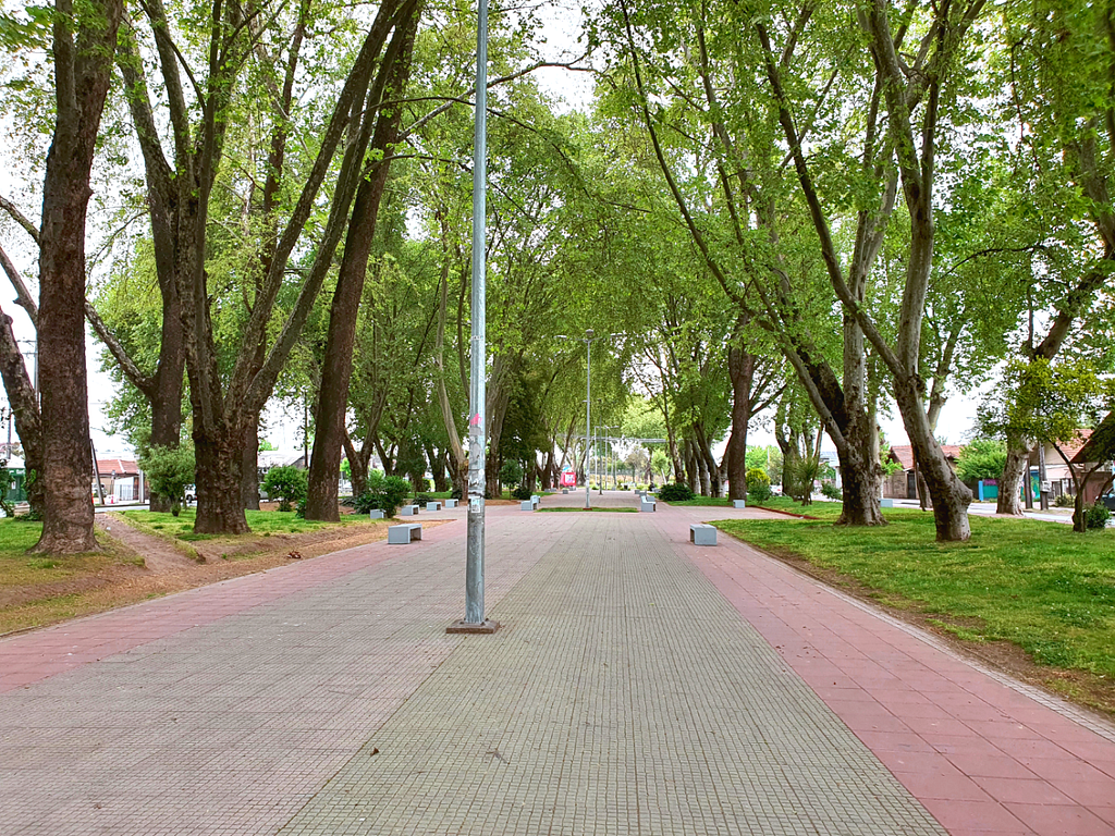 Alameda de Curicó. Autor: José Silva