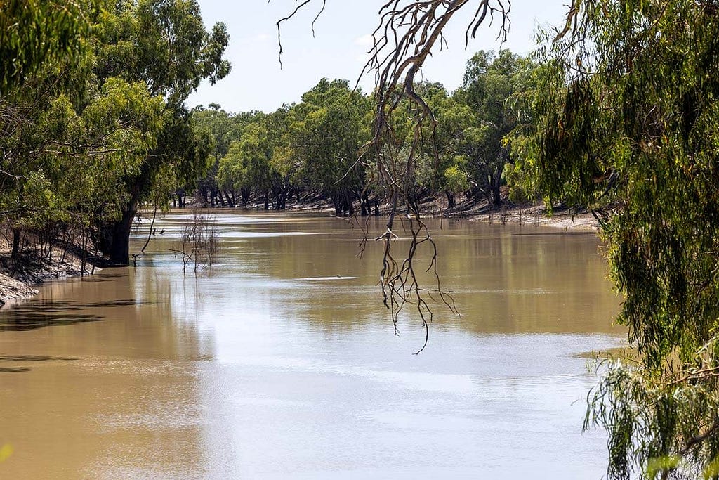 The Baarka, also known as the Darling River.