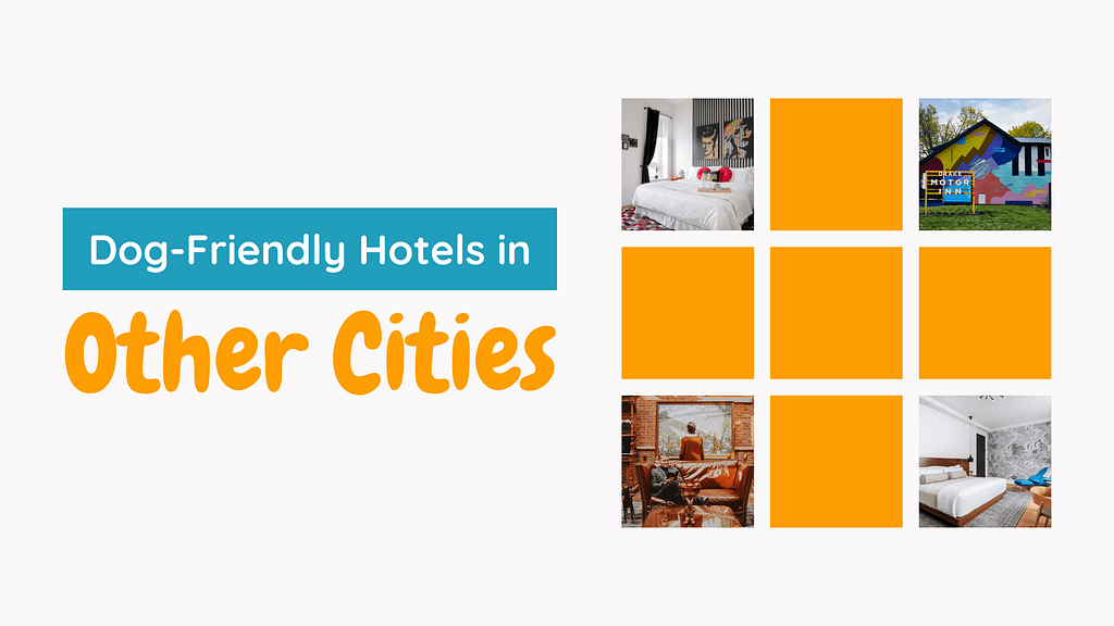 Dog-Friendly Hotels in Other Cities (not Toronto) in Ontario - Blog Banner with image previews of hotels discussed in section below