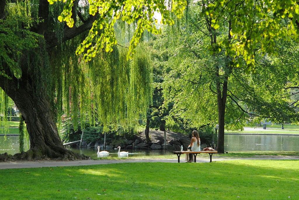 a woman sitting on a bench at park
