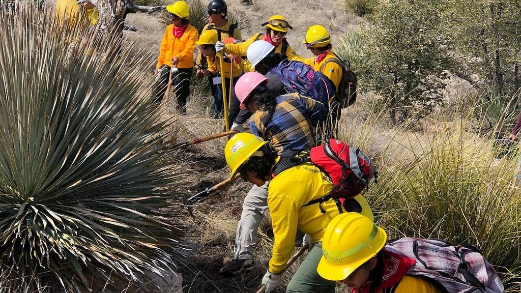 A group of park rangers wearing hardhats and using forest clearing hand tools to trim away overgrown bushes is being trained to safeguard Peru’s protected natural areas.