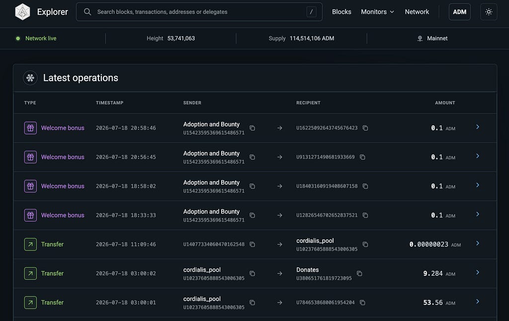 A Clearer View of ADAMANT: Redesigned Blockchain Explorer