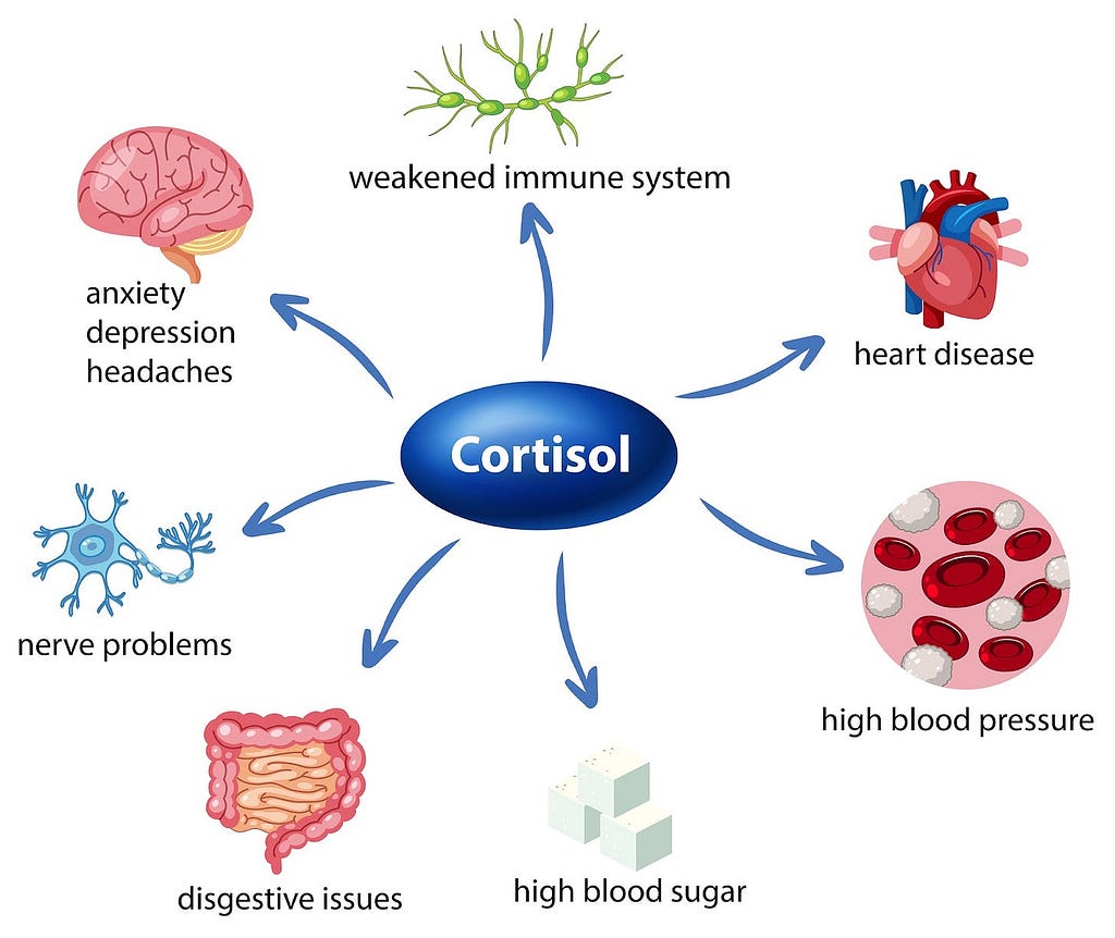 how does cortisol work with stress?