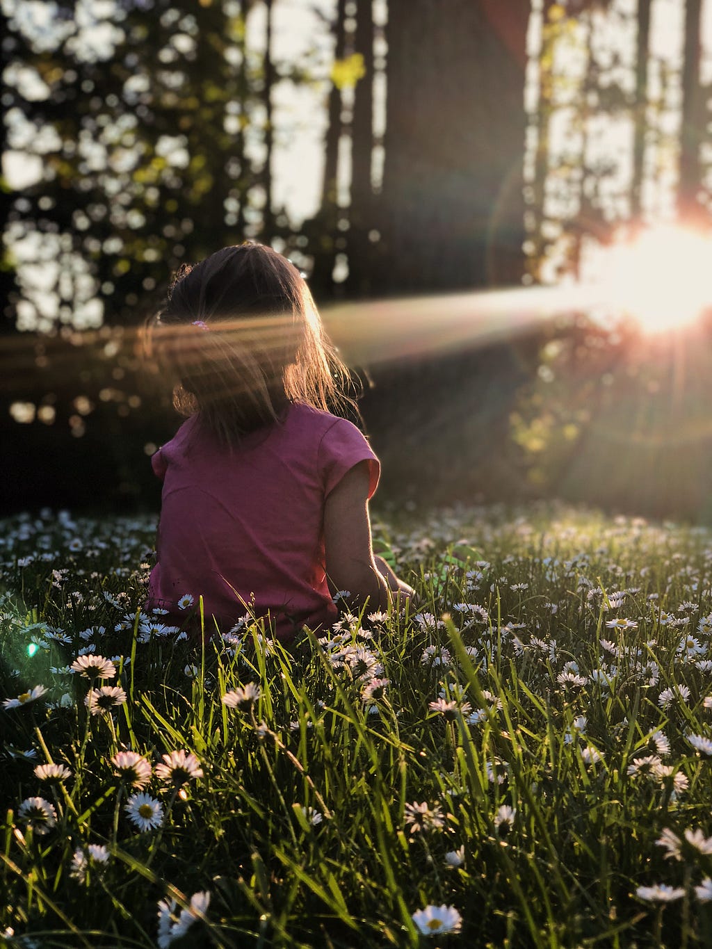 A girl in a field of flowers, gazing at the sunlight beaming through the canopes.