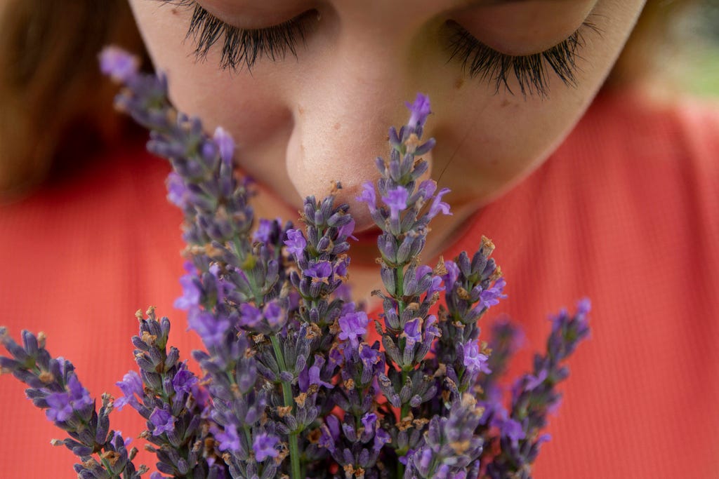 A picture of a women smelling lavender.