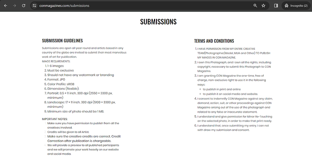 Submission guidelines to submit models in magazines