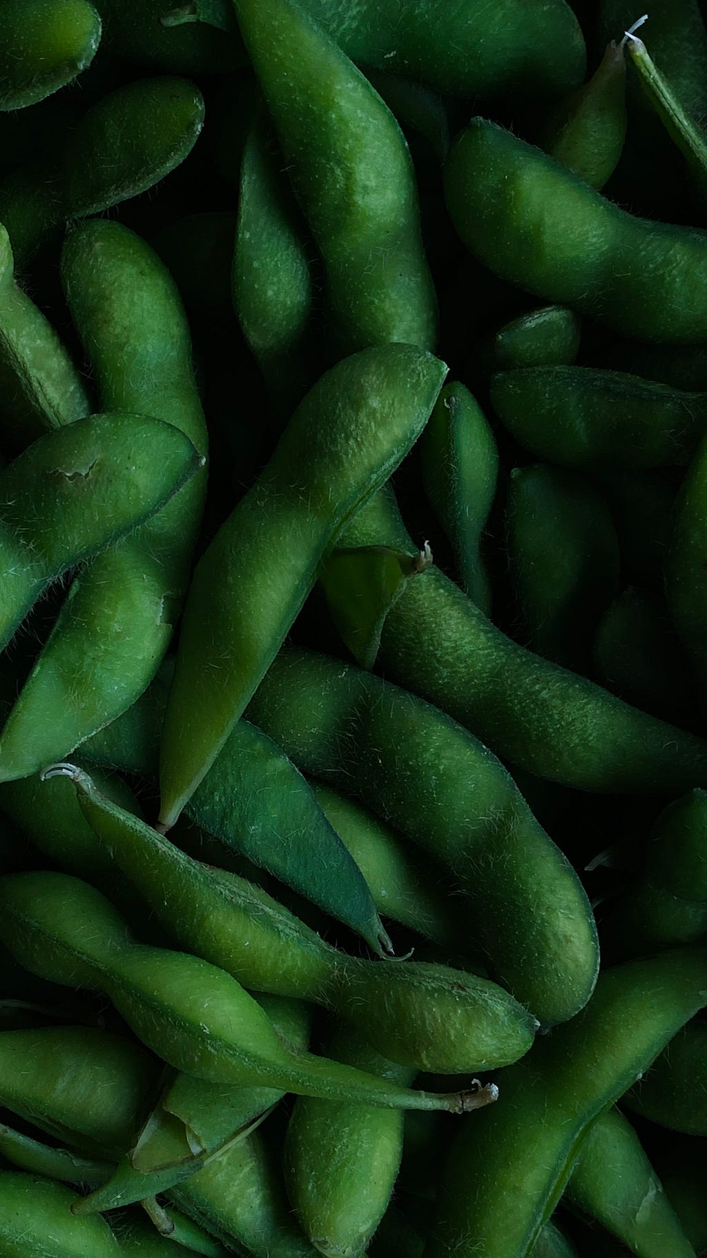 Edamame is an excellent vegan source of protein.
