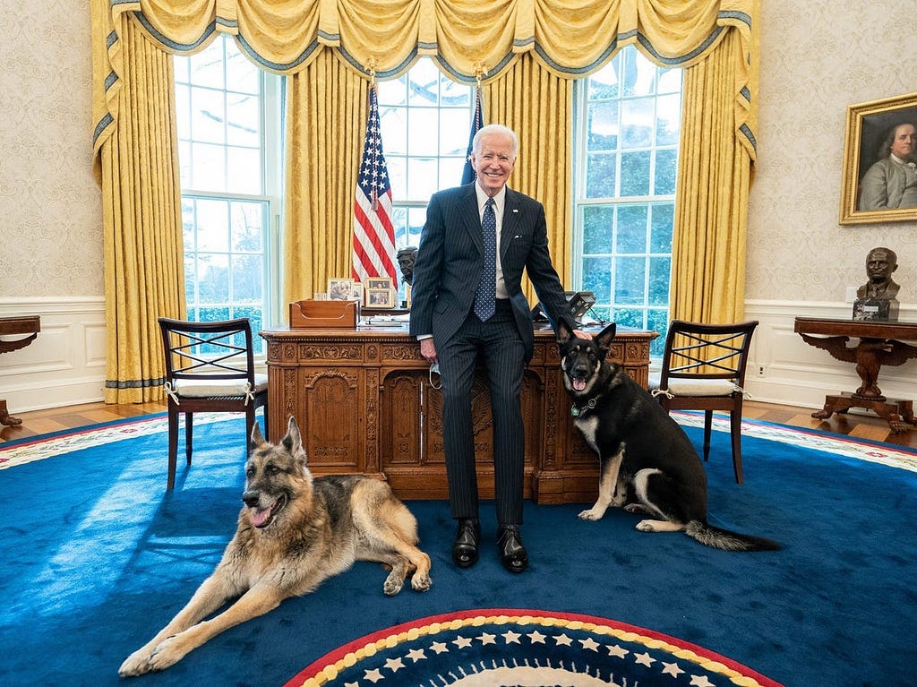 President Joe Biden poses with the Biden family dogs Champ and Major on Feb. 9, 2021, in the Oval Office.