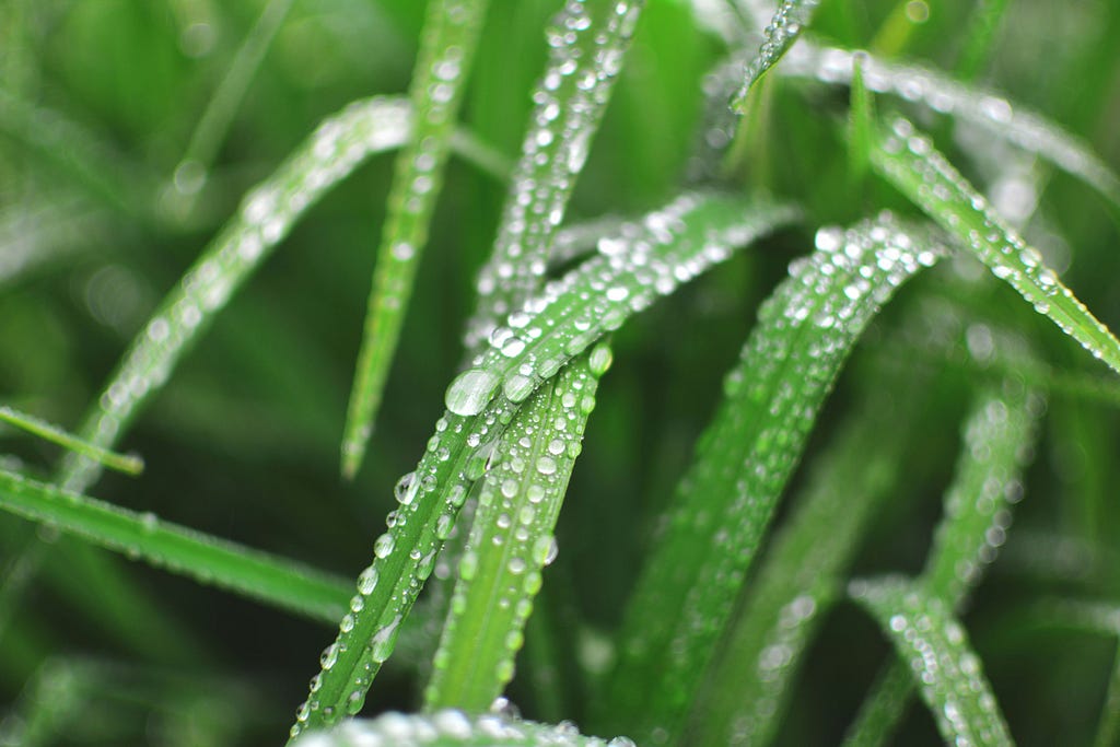 Rain drops very similar to the rain in the story.