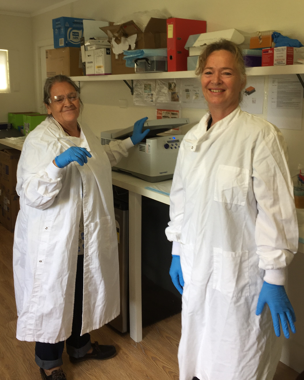 Members of the Norfolk Island Health Study team working with participant samples.